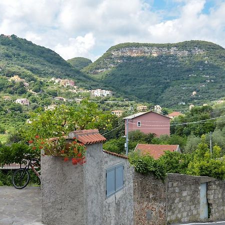 Al Riparo Affittacamere Finale Ligure Bagian luar foto